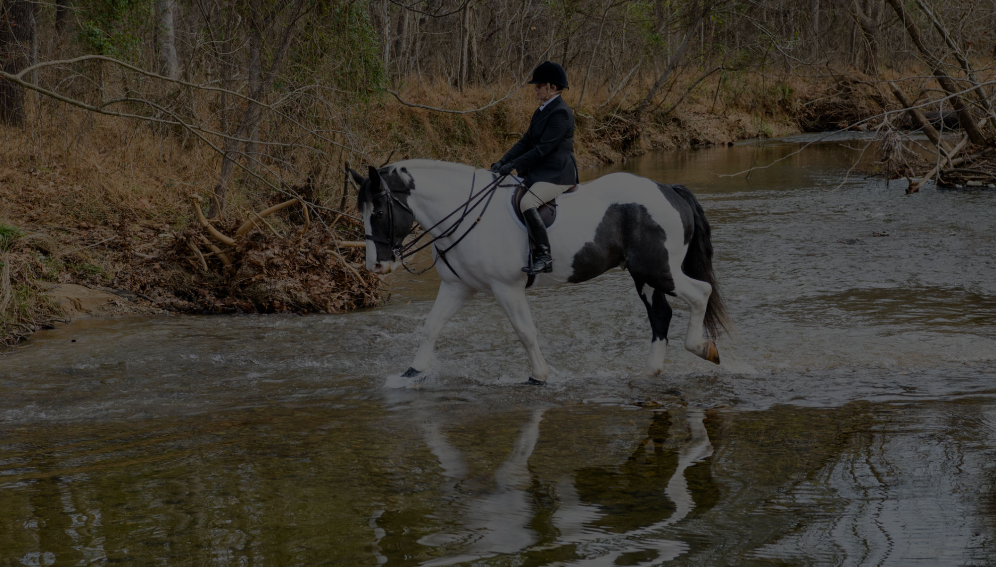 Horse Crossing main header photo 17E0F907-594C-4198-A05A-3FFF777A9A2A